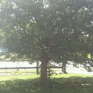 Meet your Posher, Aimee